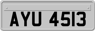 AYU4513