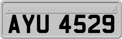 AYU4529