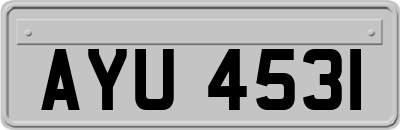 AYU4531