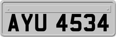 AYU4534