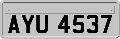 AYU4537