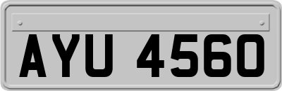 AYU4560