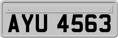 AYU4563