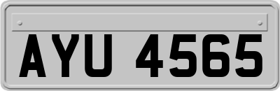 AYU4565