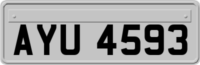 AYU4593