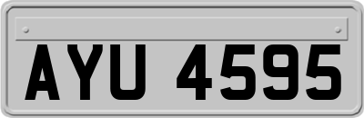 AYU4595