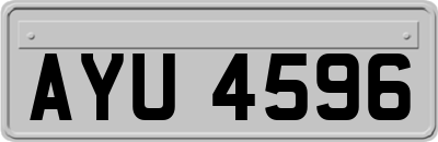 AYU4596