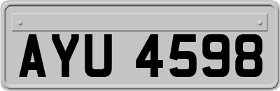 AYU4598