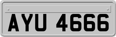 AYU4666