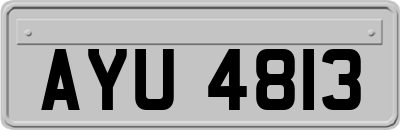 AYU4813