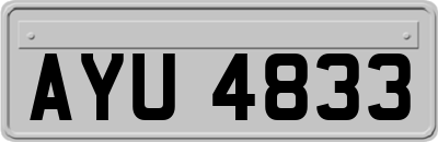AYU4833