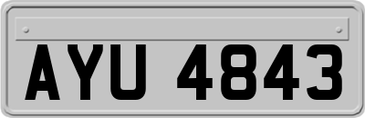 AYU4843
