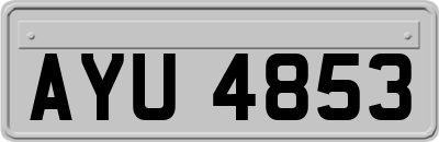 AYU4853