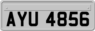 AYU4856