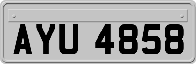 AYU4858
