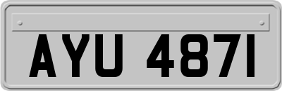 AYU4871