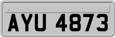 AYU4873