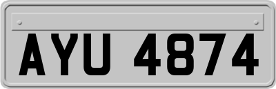 AYU4874