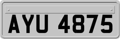 AYU4875