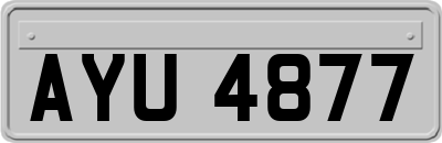 AYU4877