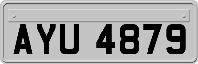 AYU4879