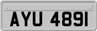 AYU4891