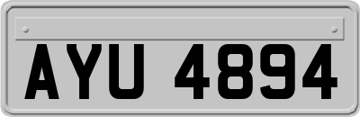 AYU4894