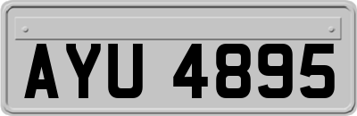 AYU4895
