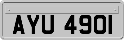 AYU4901