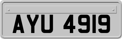 AYU4919
