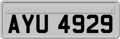 AYU4929