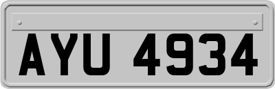 AYU4934