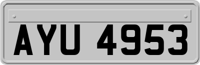 AYU4953