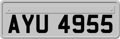 AYU4955