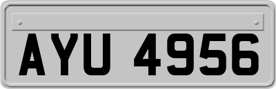 AYU4956