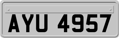 AYU4957