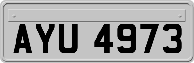 AYU4973
