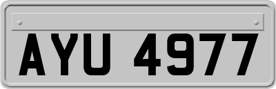 AYU4977