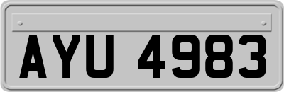AYU4983