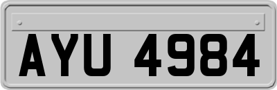 AYU4984