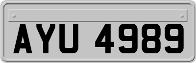 AYU4989