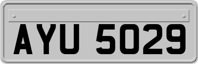 AYU5029