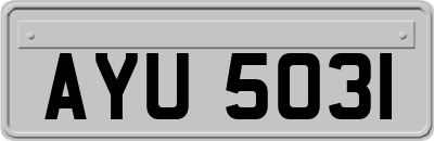 AYU5031