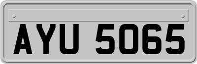 AYU5065