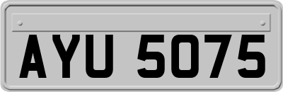 AYU5075