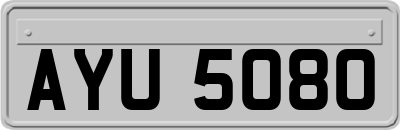 AYU5080
