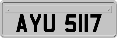 AYU5117