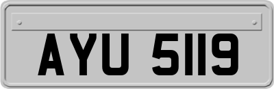 AYU5119