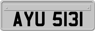 AYU5131