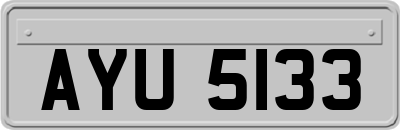 AYU5133